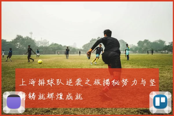 上海排球队逆袭之旅揭秘努力与坚持铸就辉煌成就