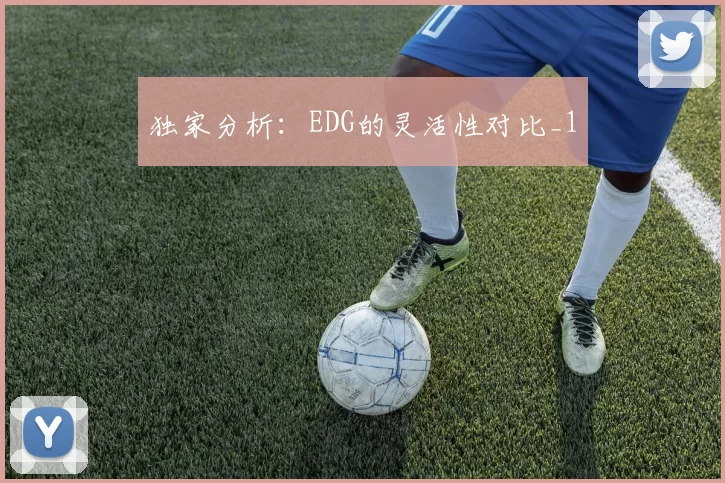 独家分析：EDG的灵活性对比_1