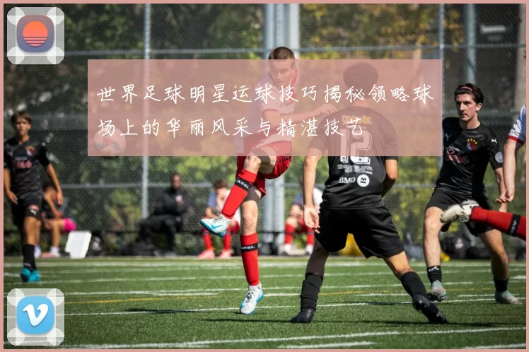 世界足球明星运球技巧揭秘领略球场上的华丽风采与精湛技艺