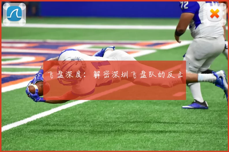 飞盘深度：解密深圳飞盘队的反击