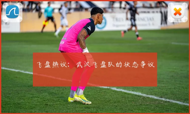 飞盘热议：武汉飞盘队的状态争议
