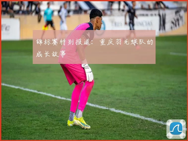 锦标赛特别报道：重庆羽毛球队的成长故事