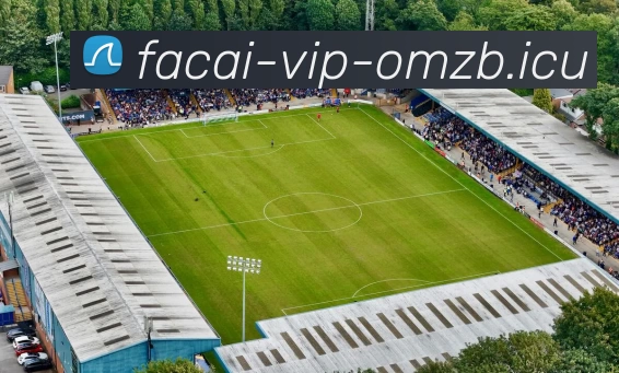 MK体育平台生态图